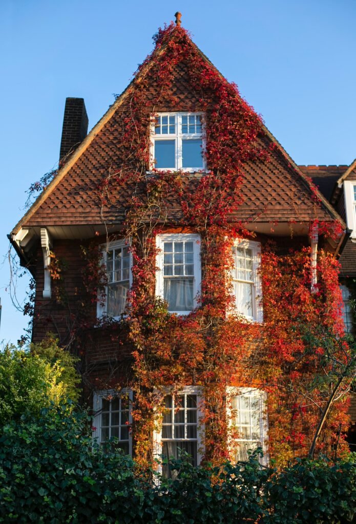 best-lighting-for-victorian-home