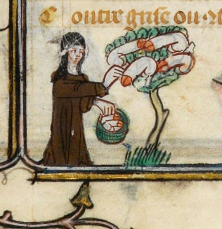 witch-hoarding-penises