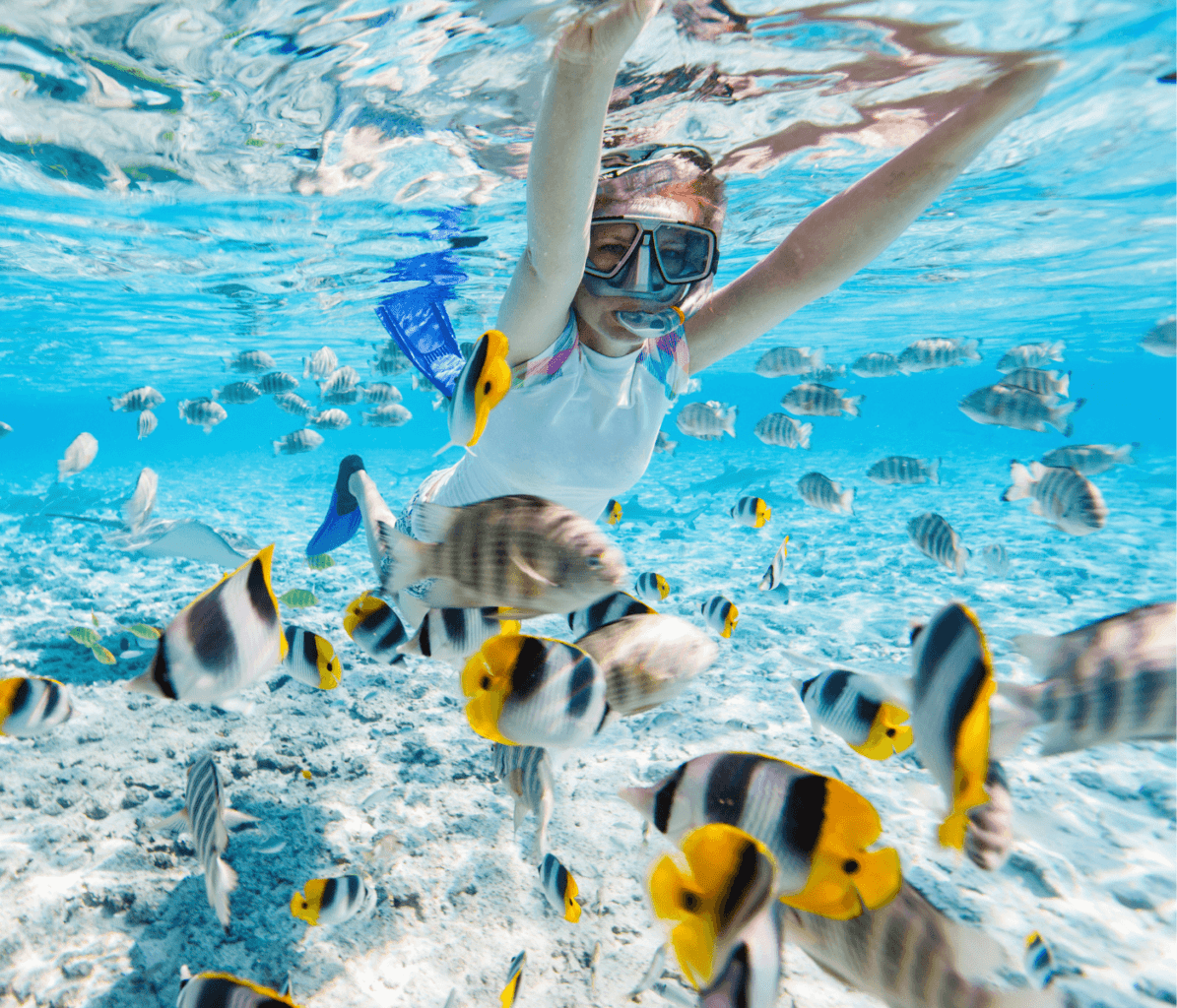 Woman snorkelling with fish in the Maldives Indian Ocean - Maldives Guide to Travelling to Maldives 2023