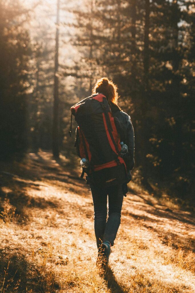 Female Solo Traveller Walking Through Forest Alone - Adventure Travel For Women
