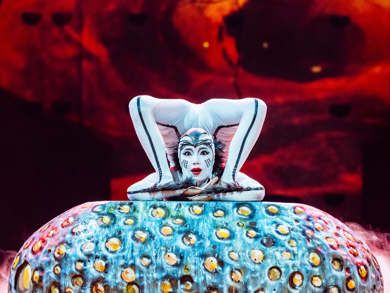 Cirque du Soleil OVO contortionist performs an extreme pose with legs and feet over the front of head on top of a giant egg-inspired set piece at the Royal Albert Hall.