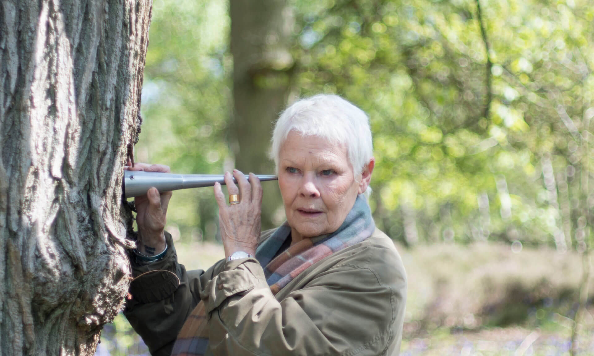 Dame Judi Dench listens to an ancient oak tree in a woodland setting, reflecting her deep connection to nature and trees in documentary - Dame Judi Dench: My Passion For Trees - and now backs campaign to defend London's green belt