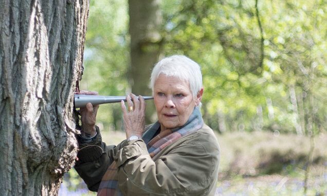 Dame Judi Dench listens to an ancient oak tree in a woodland setting, reflecting her deep connection to nature and trees in documentary - Dame Judi Dench: My Passion For Trees - and now backs campaign to defend London's green belt