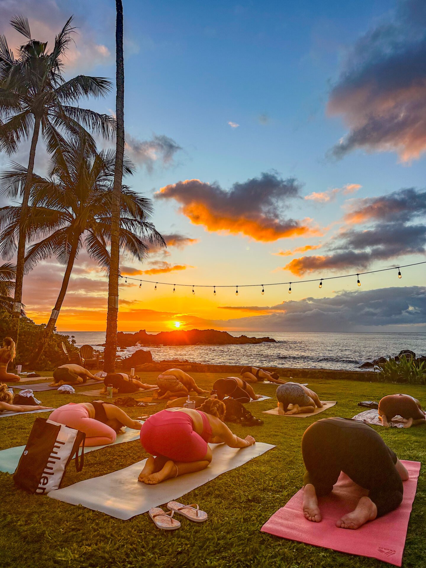 A group of wellness women practicing yoga on mats on a grassy lawn by the ocean during a vibrant sunset with palm trees and string lights overhead